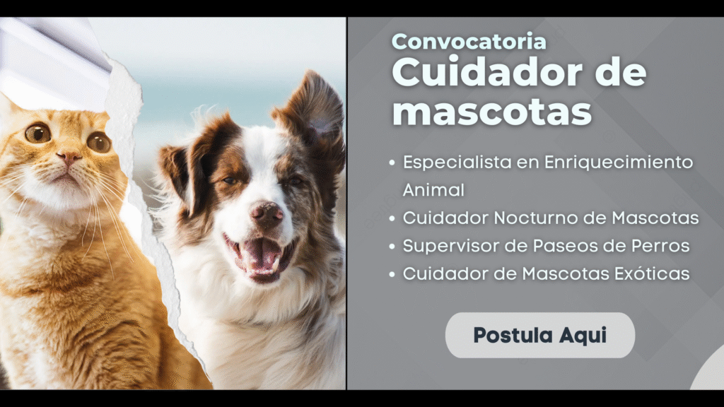Empleo de Cuidador de Mascotas: Brinda el mejor cuidado a los animales